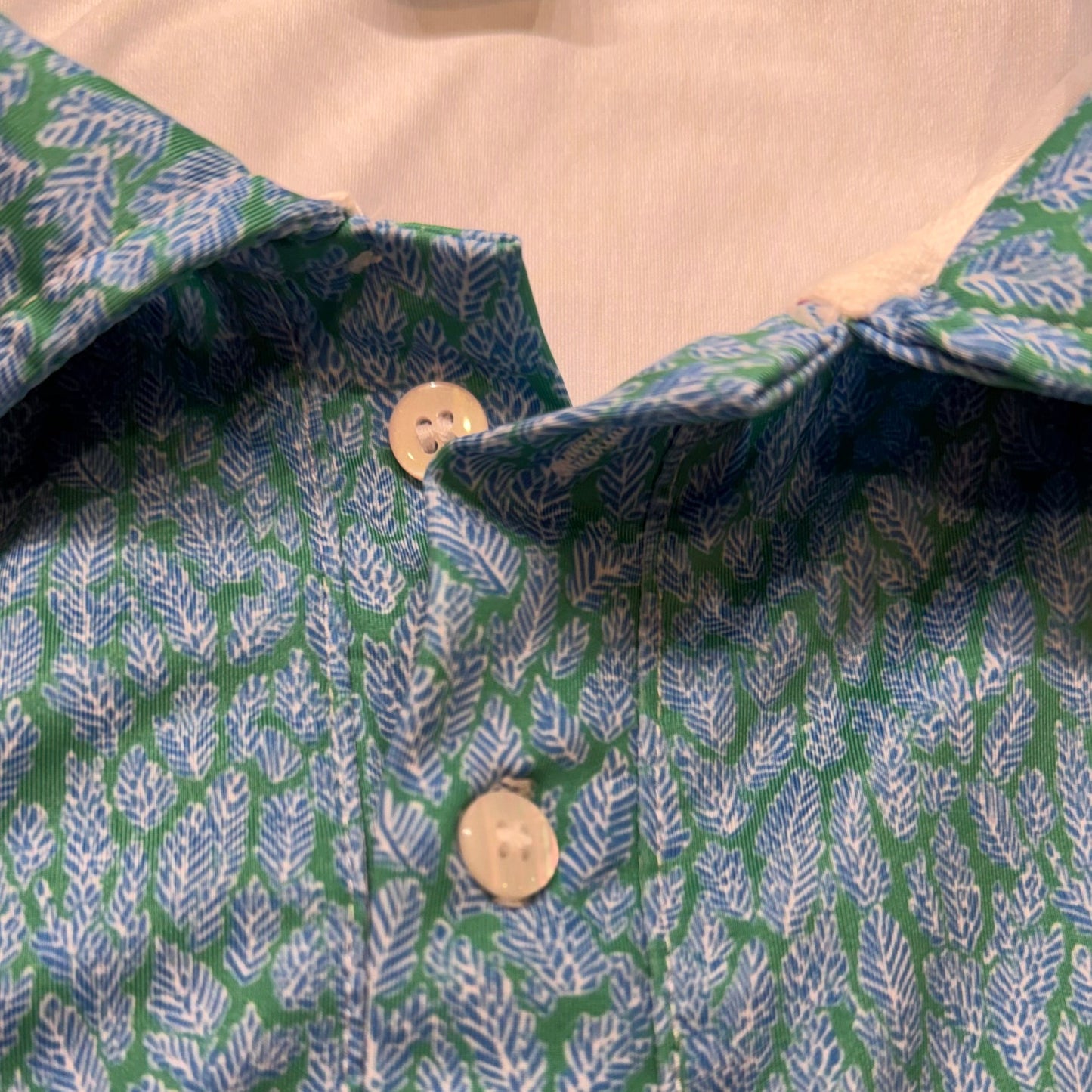 The Ferns Polo