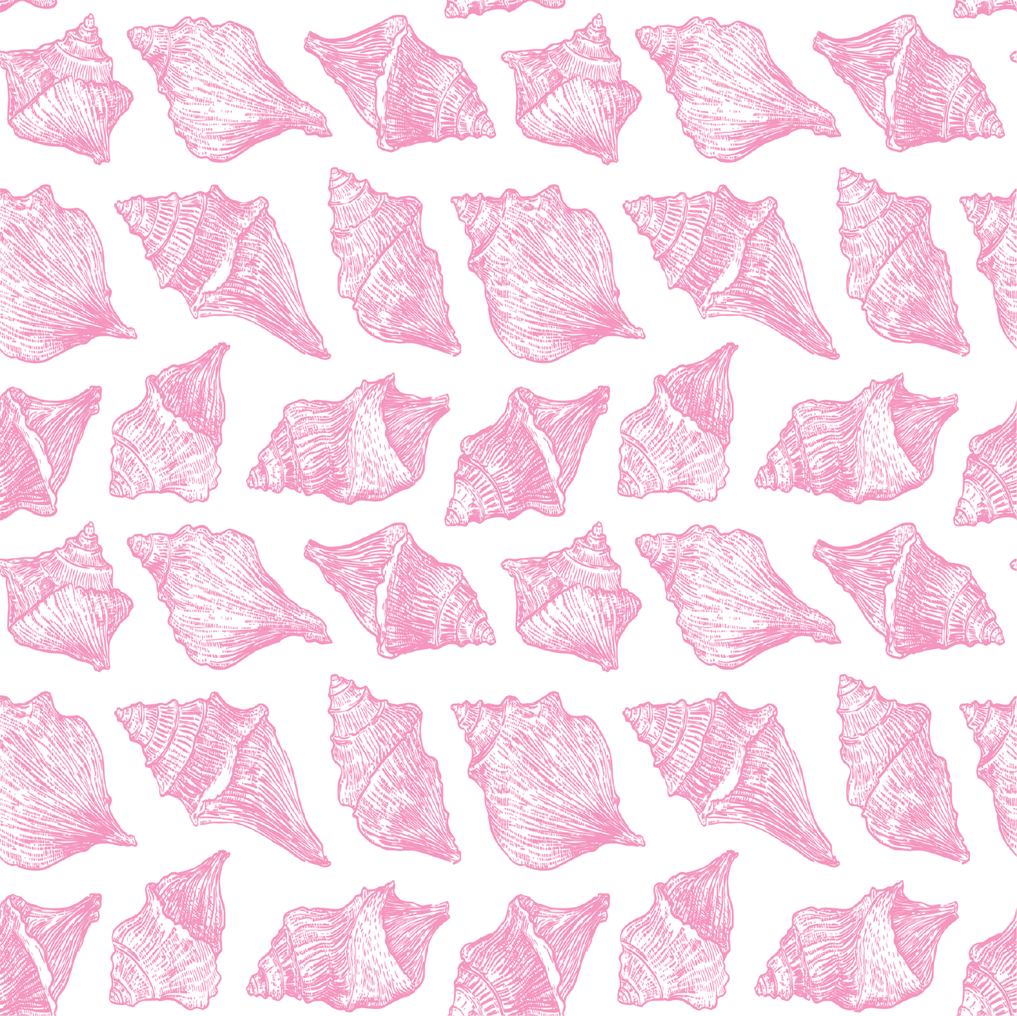 Conches Polo